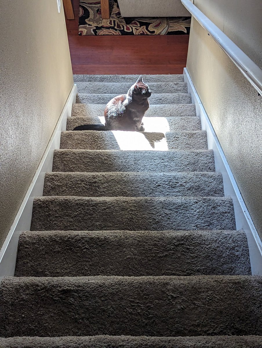 Ben Nothing tweet media