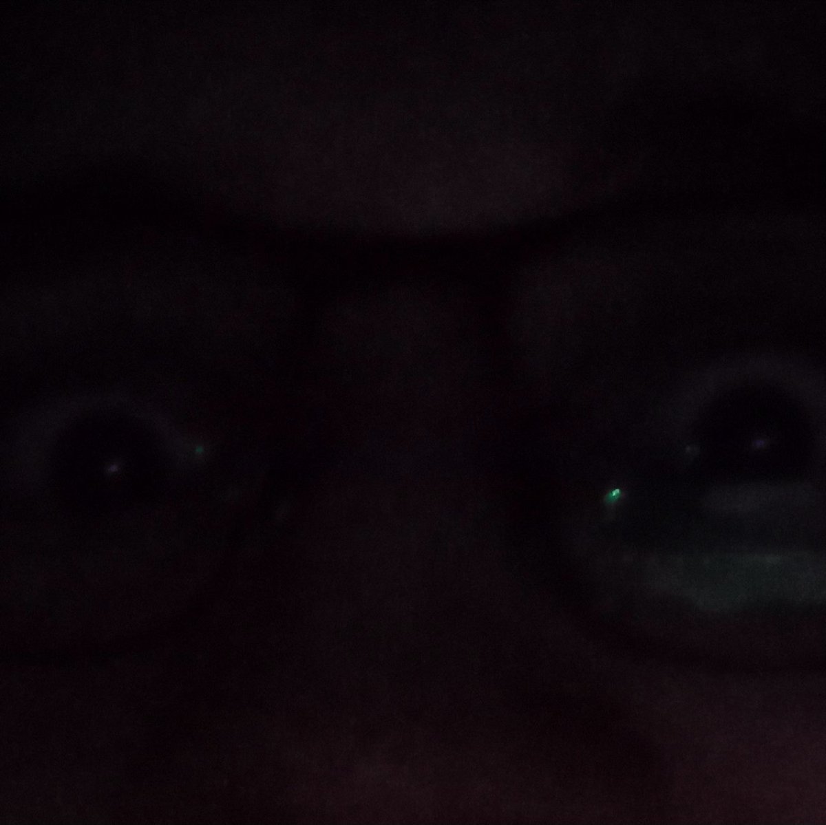 Gracias a todos por entrar al stream despues de 1 mes sin hacer directo [el antiguo pc hizo boom] #streaming #streamer #twitch #makiuxd