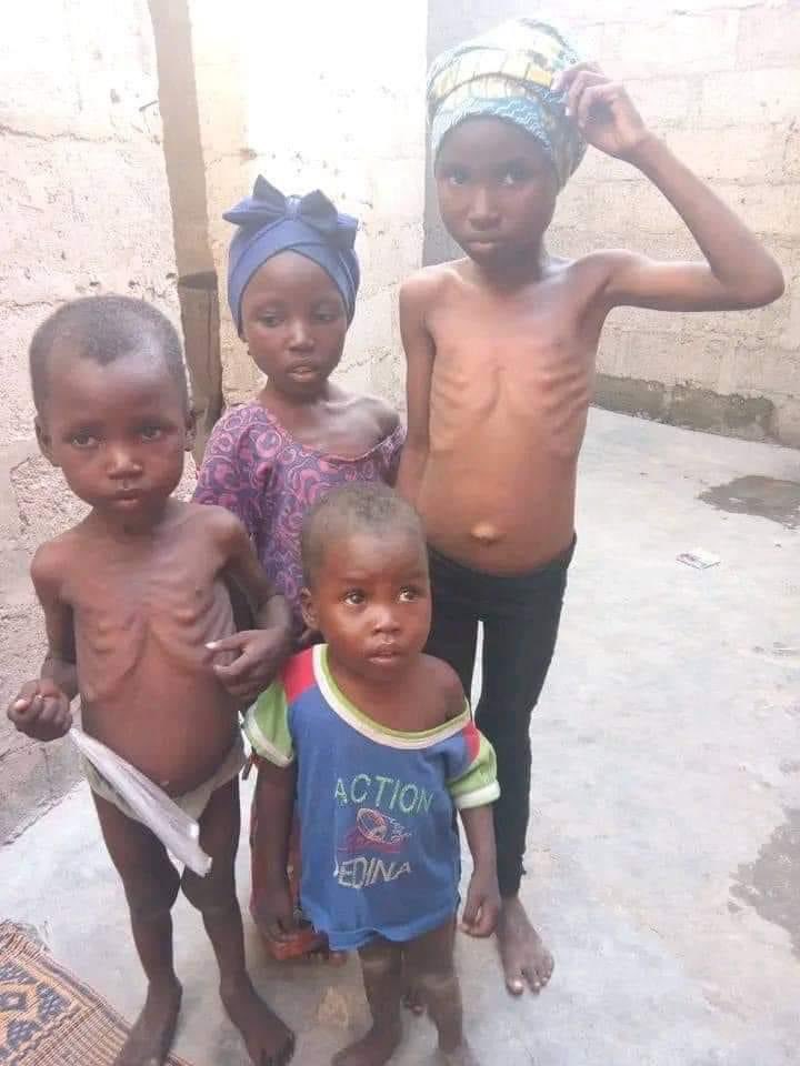 Muhammadwaleee's tweet photo. It's disheartening to witness the hardships our fellow citizens endure due to government policies. Many are struggling to make ends meet, facing hunger and scarcity. Let's raise awareness and advocate for change, ensuring that every voice is heard and every stomach is filled.😢🙏 https://t.co/zwONsMzCYS