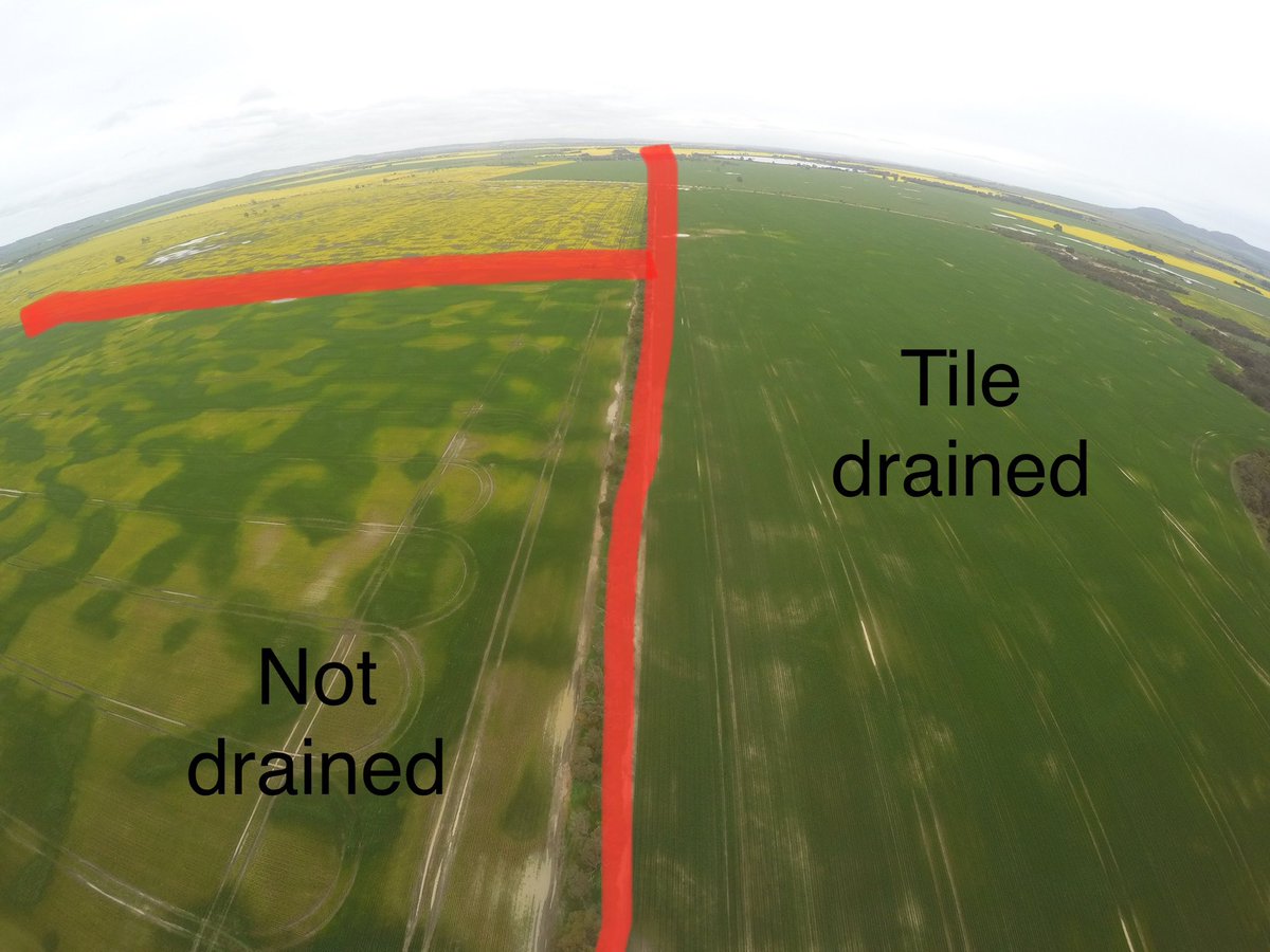 Michael Minhard tweet media