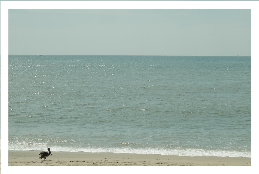 diego (@diegocastro899) on Twitter photo 