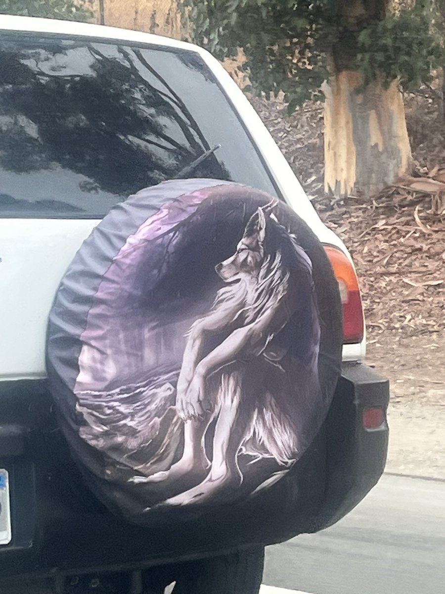 JUST SAW THIS ON THE FREEWAY