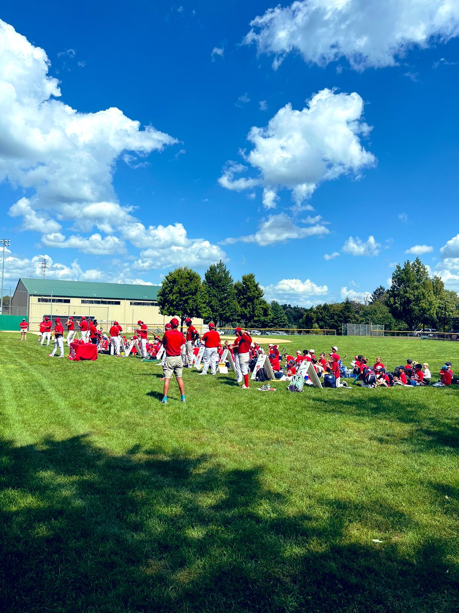 NELLNation_Org's tweet photo. Field 3 + @PhilsPlayerDev = picture perfect https://t.co/KjOy8w4inQ