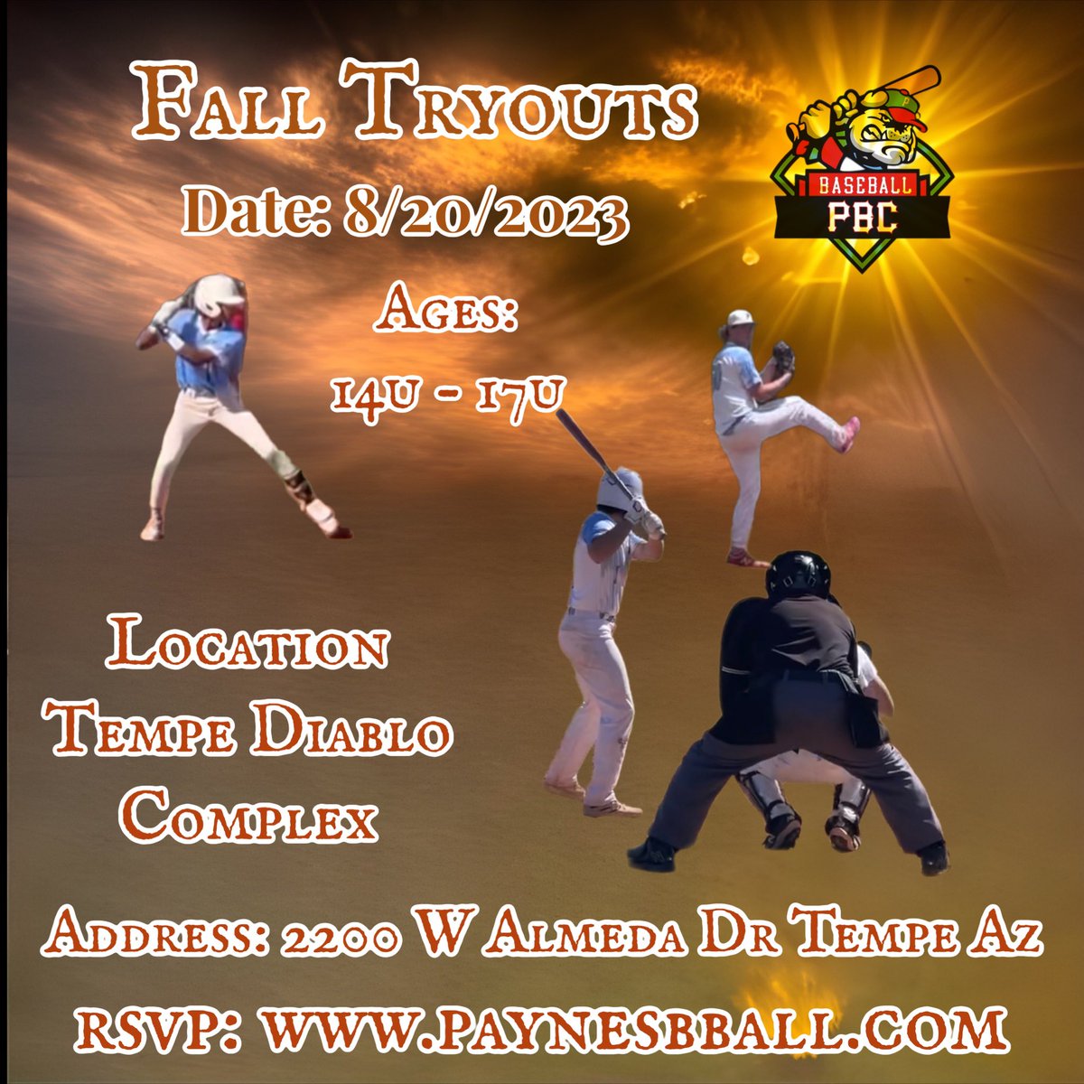 Paynes Baseball Club tweet media