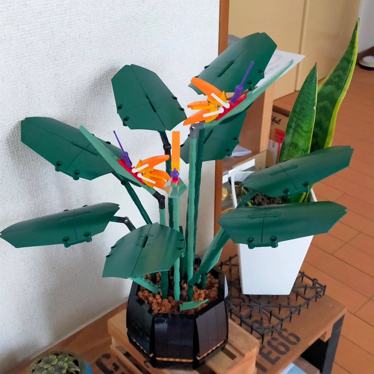 MashikoToru's tweet photo. レゴ LEGO製 ストレリチア 花 造花フラワー🤗
組立て時間、約5時間未満で完成🎉😁🎉
今度は、胡蝶蘭も挑戦しよ〜〜かな🫡🫡 https://t.co/OhUPTUJ1Ws
