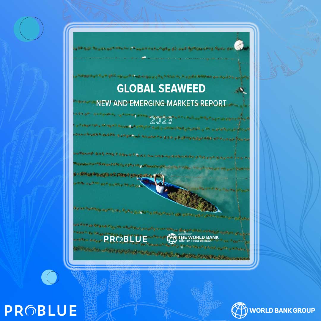 What can we use #seaweed for? Pet foods, alternative proteins, bioplastics, textiles, and the list goes on. Read the @WorldBank’s #GlobalSeaweedMarkets report to learn more: wrld.bg/7h2o50PAF5M

#Aquaculture | #PROBLUE_Oceans