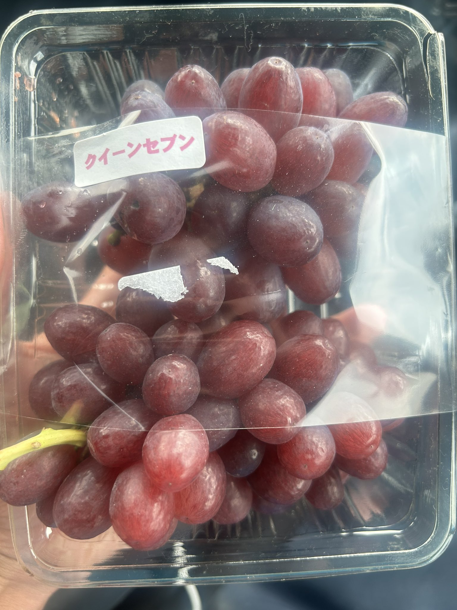 エレノア様　クイーンセブン 多品種 クイーンセブン ＜ ぶどう：旬の果物百科