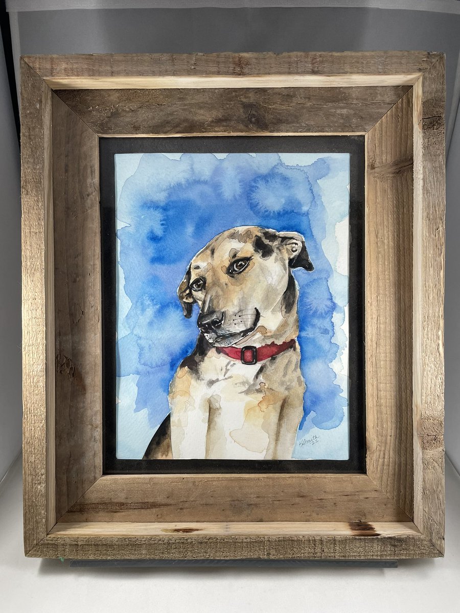 kimberries113's tweet photo. I love doing portraits of doggos. These are just a few I’ve done over the years. 

#watercolor #portraits #dogs https://t.co/0rSltE7V5h