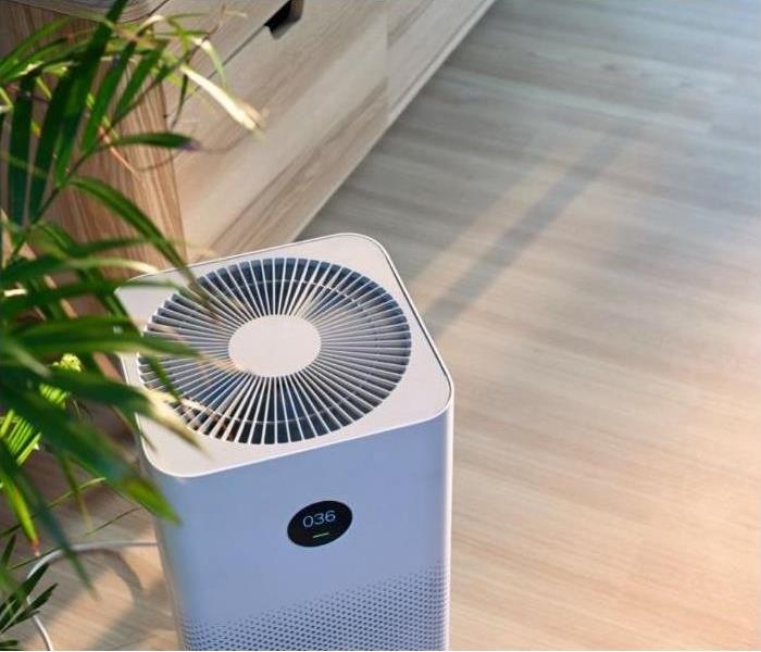 SERVPROEPhoenix's tweet photo. Using an Air Purifier May Help Battle Mold Growth in Your House https://t.co/oxv9xdcIaR
#SERVPROofEastPhoenix #molddamage #moldremoval #remediationservices https://t.co/ptkf0pwn2R
