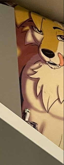 Tyler Zwaga (GBA64) tweet media