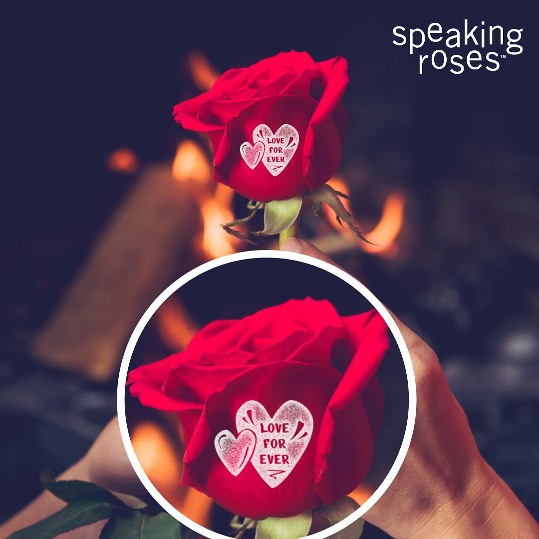 Speaking Roses Printer Food