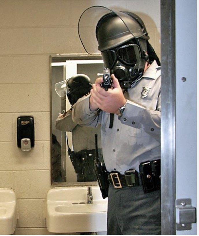 NZ First feeds anti-trans sentiment the woke have fuelled while Luxon and Hipkins stamp it out | The Daily Blog buff.ly/3OEAdf3

#nzpol