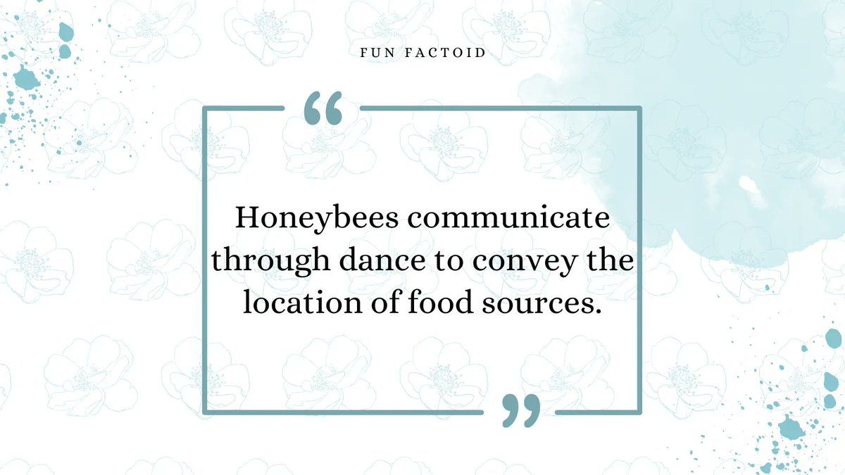 Have great Sunday folks - why not join us for the last day of the Stithians Steam Show.