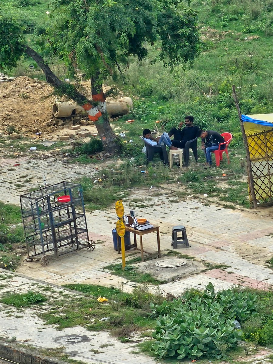 रामगुप्त सौरभ tweet media