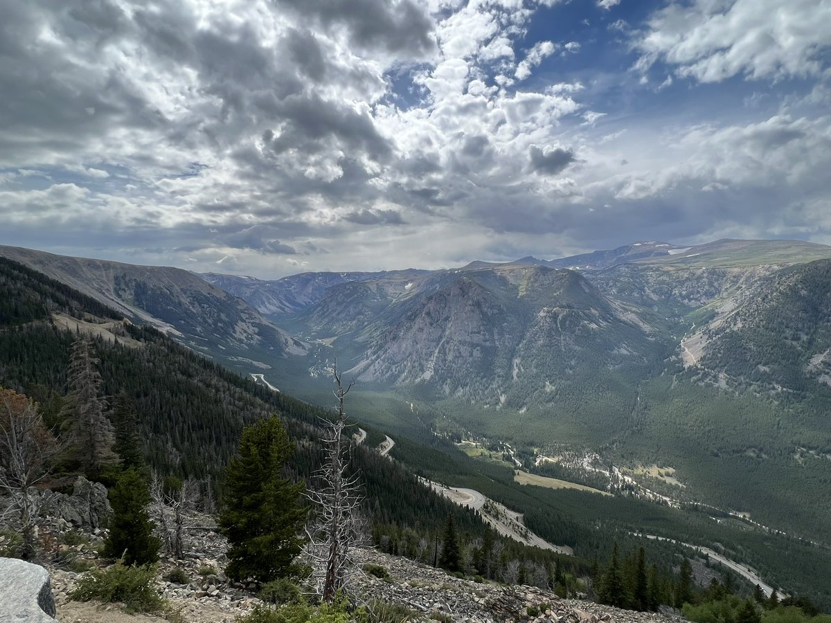 DaphneHopeLee's tweet photo. Montana does not disappoint! 🦬❤️🐻⛰️🐾 #montana #beartoothhighway #roadtrips #yellowstone https://t.co/5wanvGlhQy