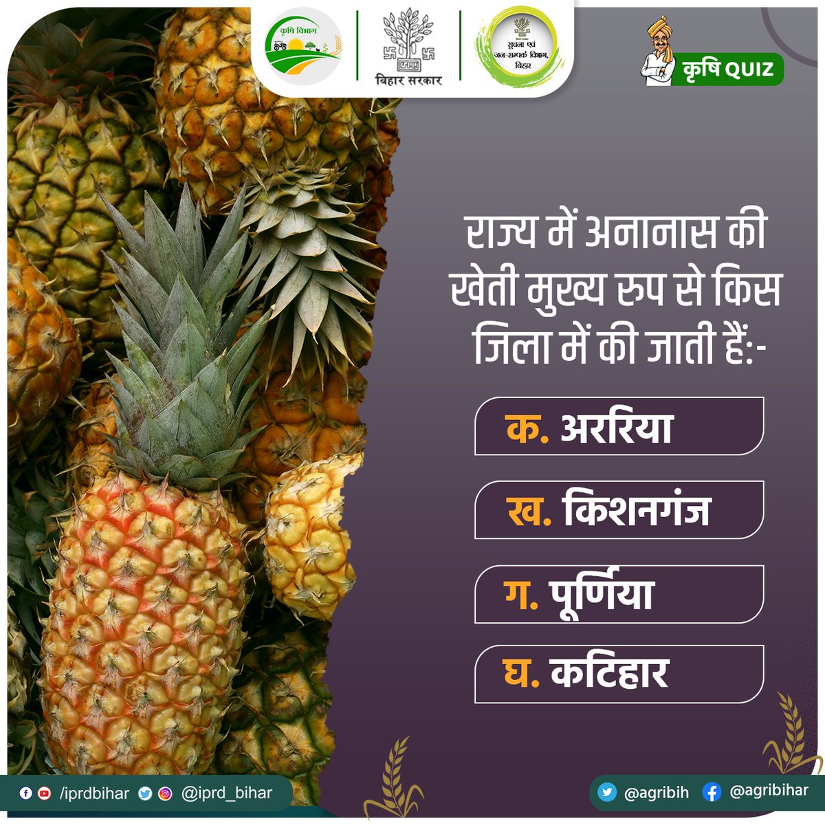 Agribih's tweet image. राज्य में अनानास की खेती मुख्य रुप से किस जिला में की जाती हैं ?
@KumarSarvjeet6 @SAgarwal_IAS @dralokghosh @abhitwittt @IPRD_Bihar @HorticultureBih @Directoratbih @BametiBihar 
#SundayQuiz
