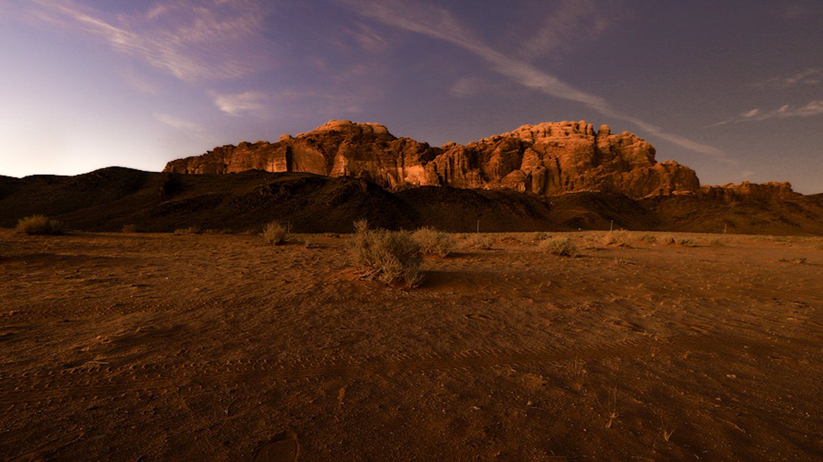 #اليوم_العالمي_للتصوير