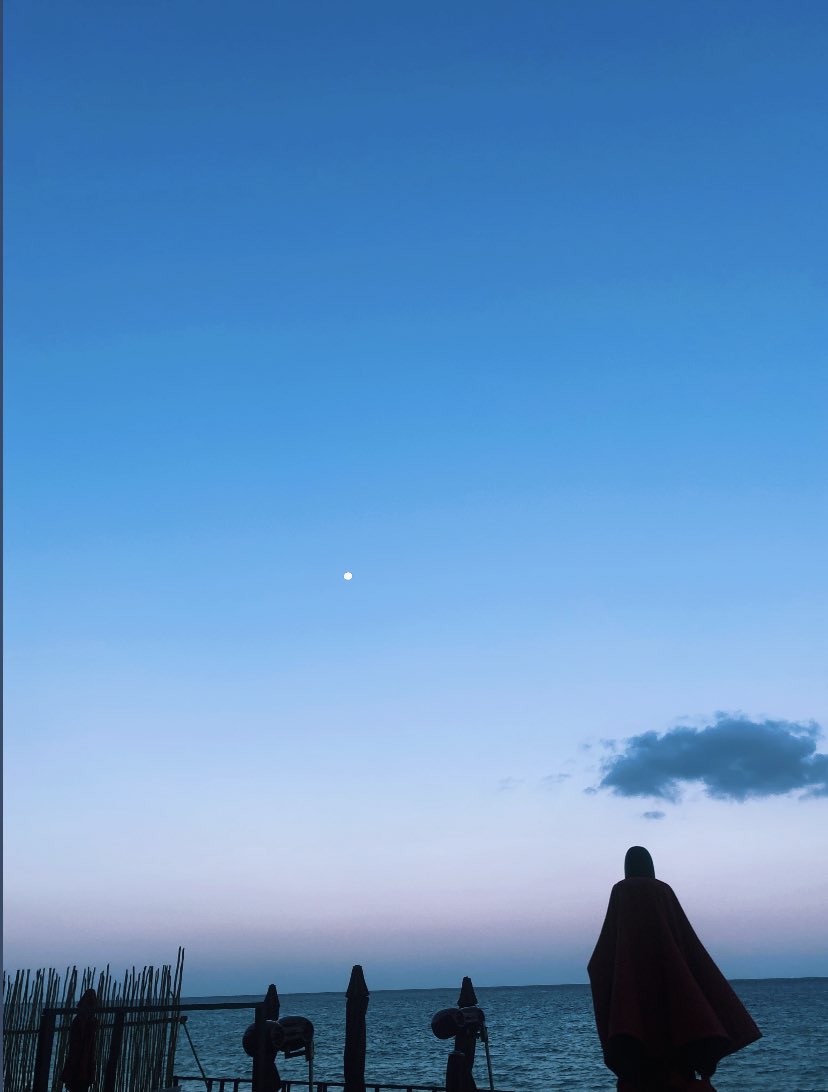 Soledad Flores Orellana tweet media