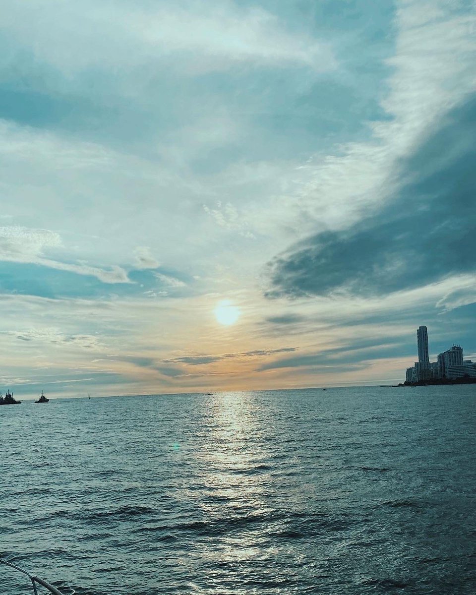 Soledad Flores Orellana tweet media