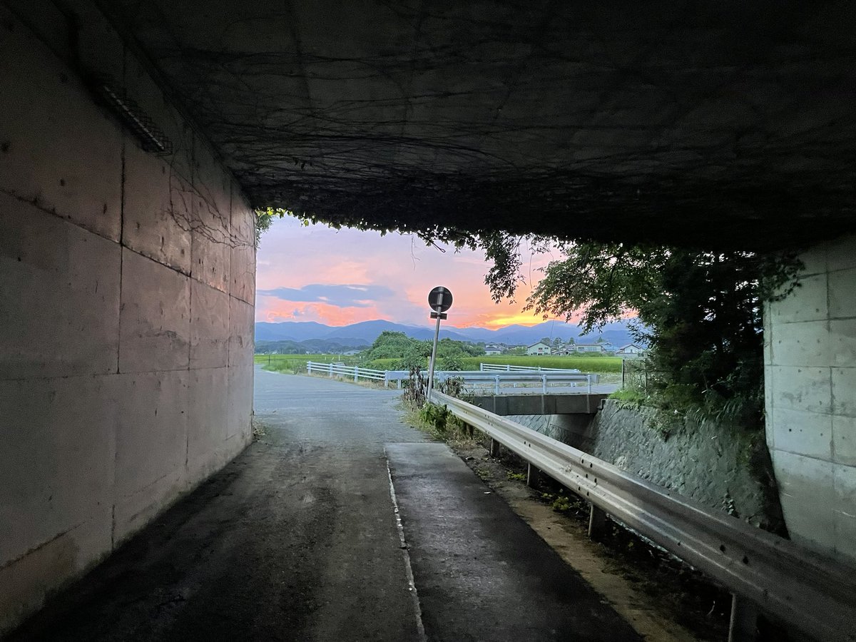 iskwki1's tweet photo. 昨日の散歩
東京戻ります https://t.co/lzOzqy3bQa
