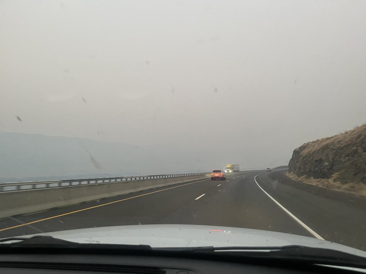 TheFrejaFly's tweet image. Omg I can’t breath.