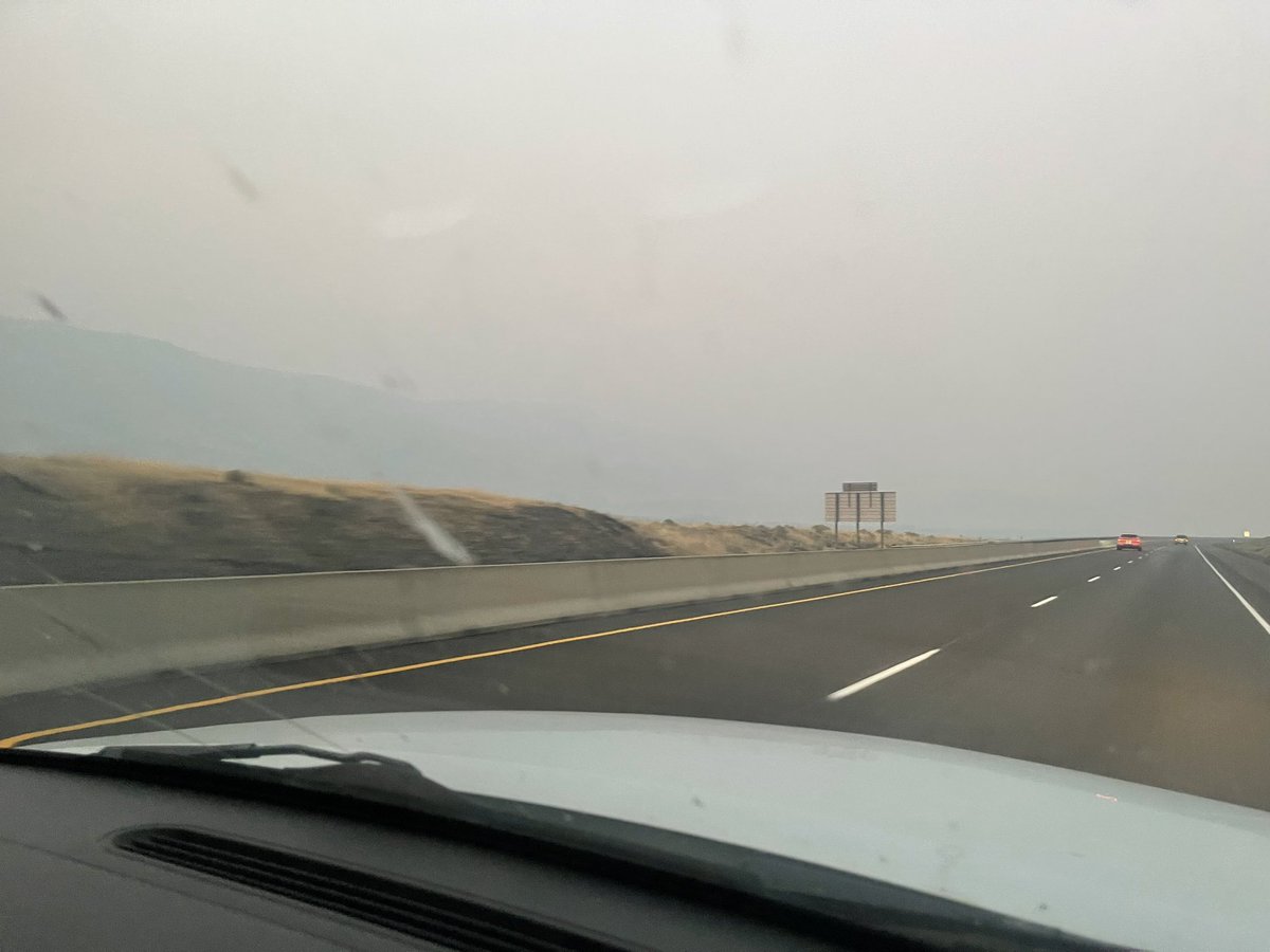 TheFrejaFly's tweet image. Omg I can’t breath.