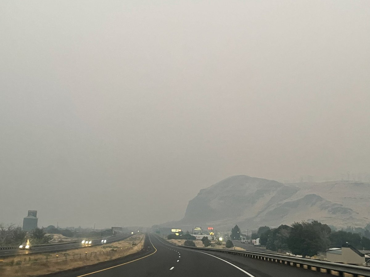 TheFrejaFly's tweet image. Omg I can’t breath.