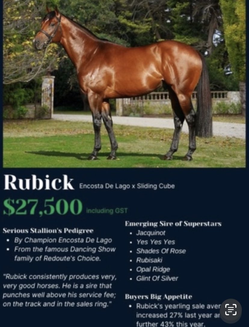 SwettenhamStud's tweet image. #SUPERSUNNYSEEYA  3G 🟩🟦Rubick🟩🟦 x #IAMINVINCIBLE mare #SoleilBrulant has too much toe for his rivals at Narrandera  NSW for Albury Tr #RobWellington &amp;amp; Jk #JasonLyon..🟩🟦#RUBICK🟩🟦 @SwettenhamStud 🟩🟦