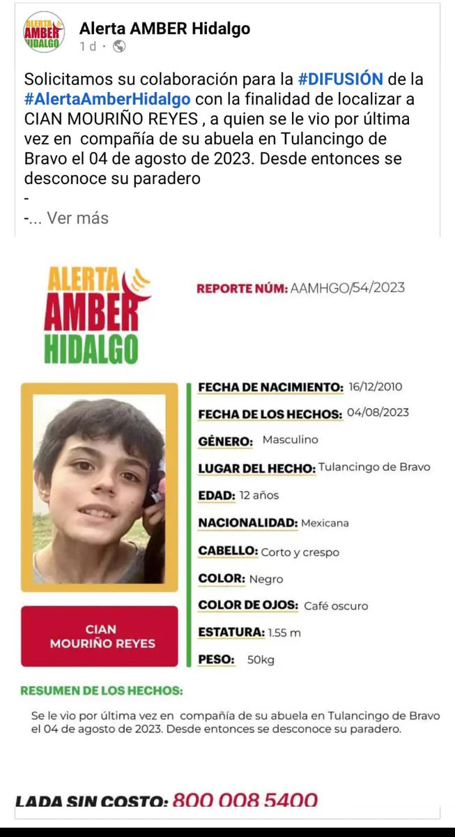 María Amor tweet media