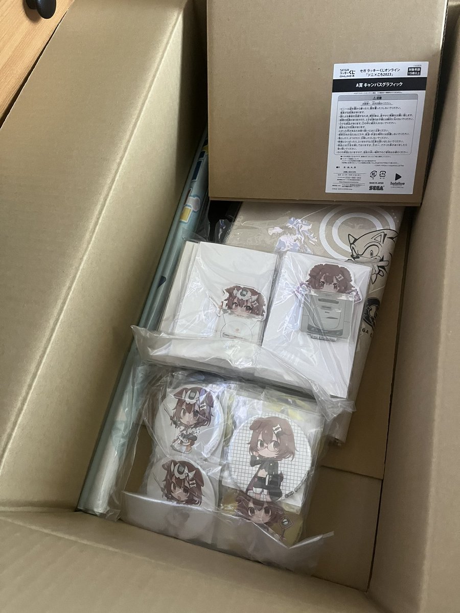 coolsky219's tweet photo. ラッキーくじのソニころグッズ届いた！ https://t.co/49BQARt5qw