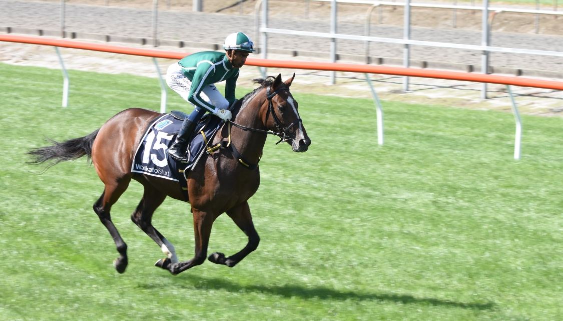 Bloodstock's tweet photo. Trialling for Challenge Syndications this week
* PRINCESS TERESA (left) - Cambridge, Tuesday
* BEST SELLER (right) - Taupo, Wednesday
https://t.co/SVnKCPJi5p https://t.co/GhqOJF42iW