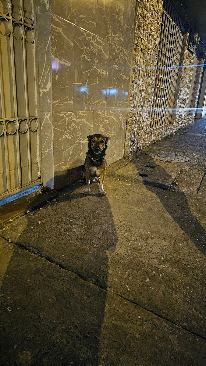 ANDREA RENDÓN tweet media