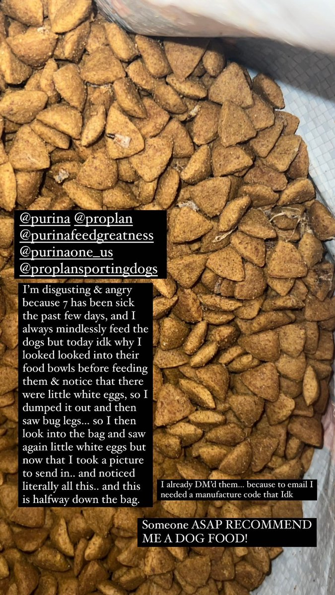 Di2cool's tweet photo. @Purina @ProPlan 
This is what I found in my dogs food bag!!!! What is this?!!!! This is unacceptable!!! https://t.co/eidJwp8FGe