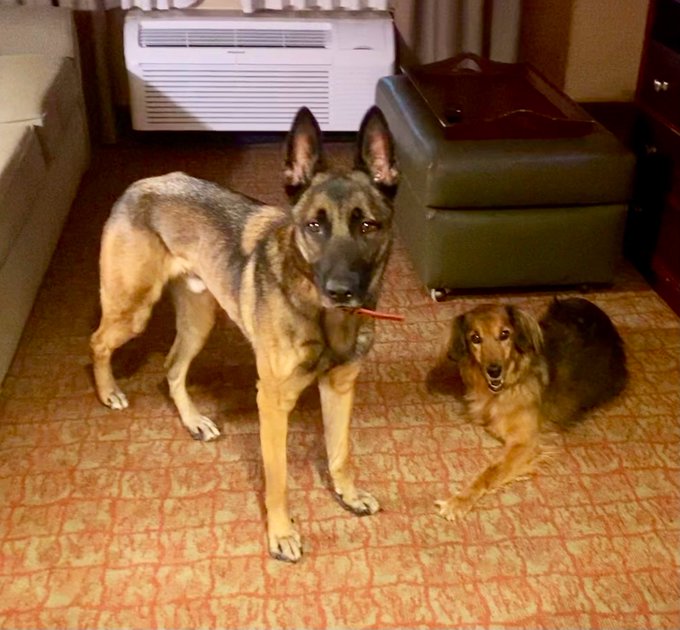 The power couple https://t.co/1iacF5WnfV<a href="/tag/jordancon"class="tags"><span>#jordancon</span></a>