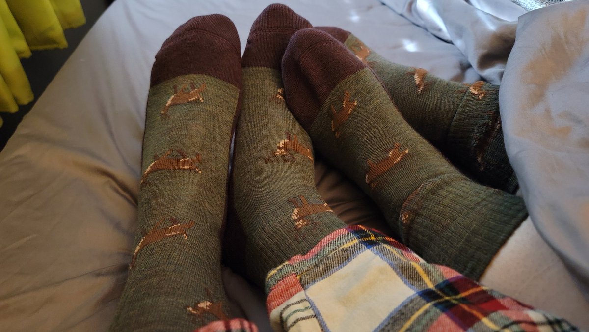 Sandey Deer (@misplacedspigot) on Twitter photo 