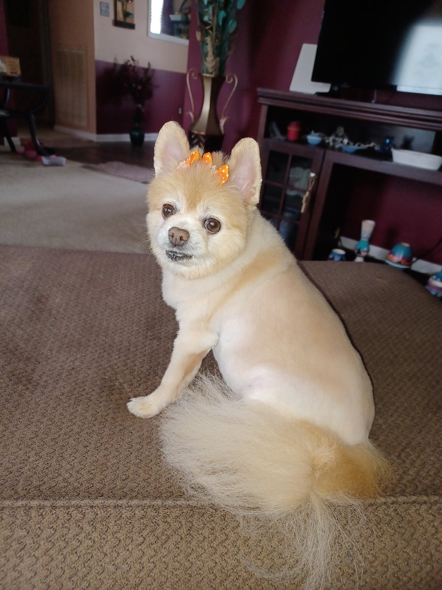 My watch party <a href="/ReelzChannel/">REELZ</a> <a href="/OnPatrolLive/">On Patrol: Live • Community</a> #OPLive