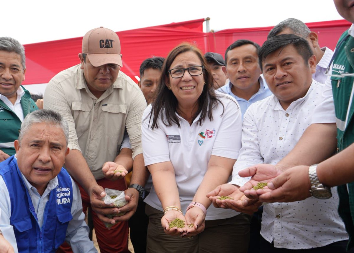 NellyParedesDC's tweet photo. Hoy llegué a la Bocana de Ramón, donde la Fundación de la Comunidad San Martín de Sechura (#Piura) siembra frejol loctao con una proyección de cultivo de 2000 hectáreas en áreas desérticas. https://t.co/iUYprOg7kC