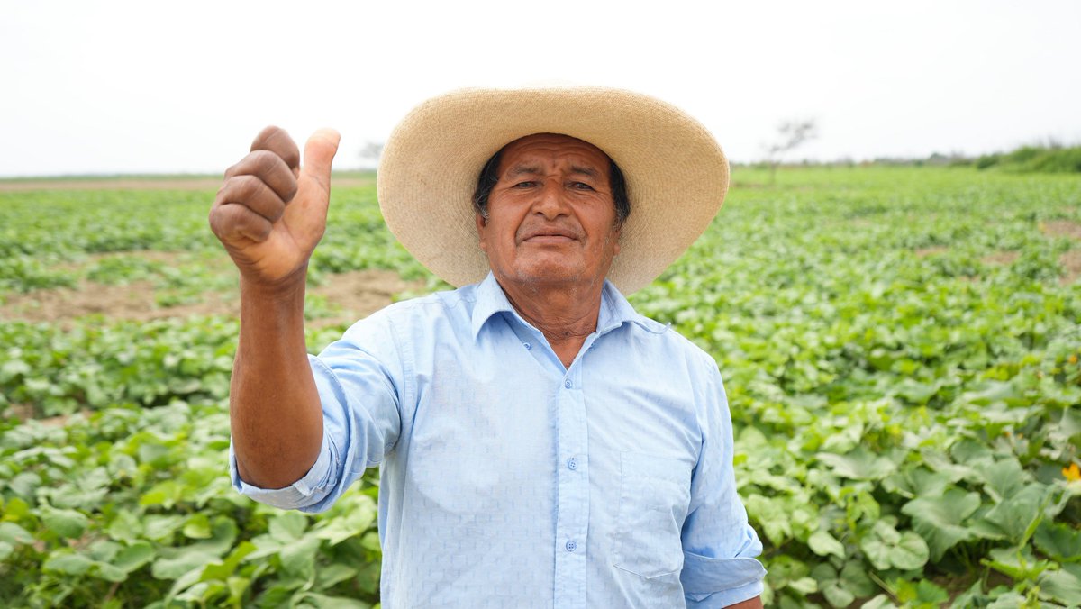 NellyParedesDC's tweet photo. Hoy llegué a la Bocana de Ramón, donde la Fundación de la Comunidad San Martín de Sechura (#Piura) siembra frejol loctao con una proyección de cultivo de 2000 hectáreas en áreas desérticas. https://t.co/iUYprOg7kC