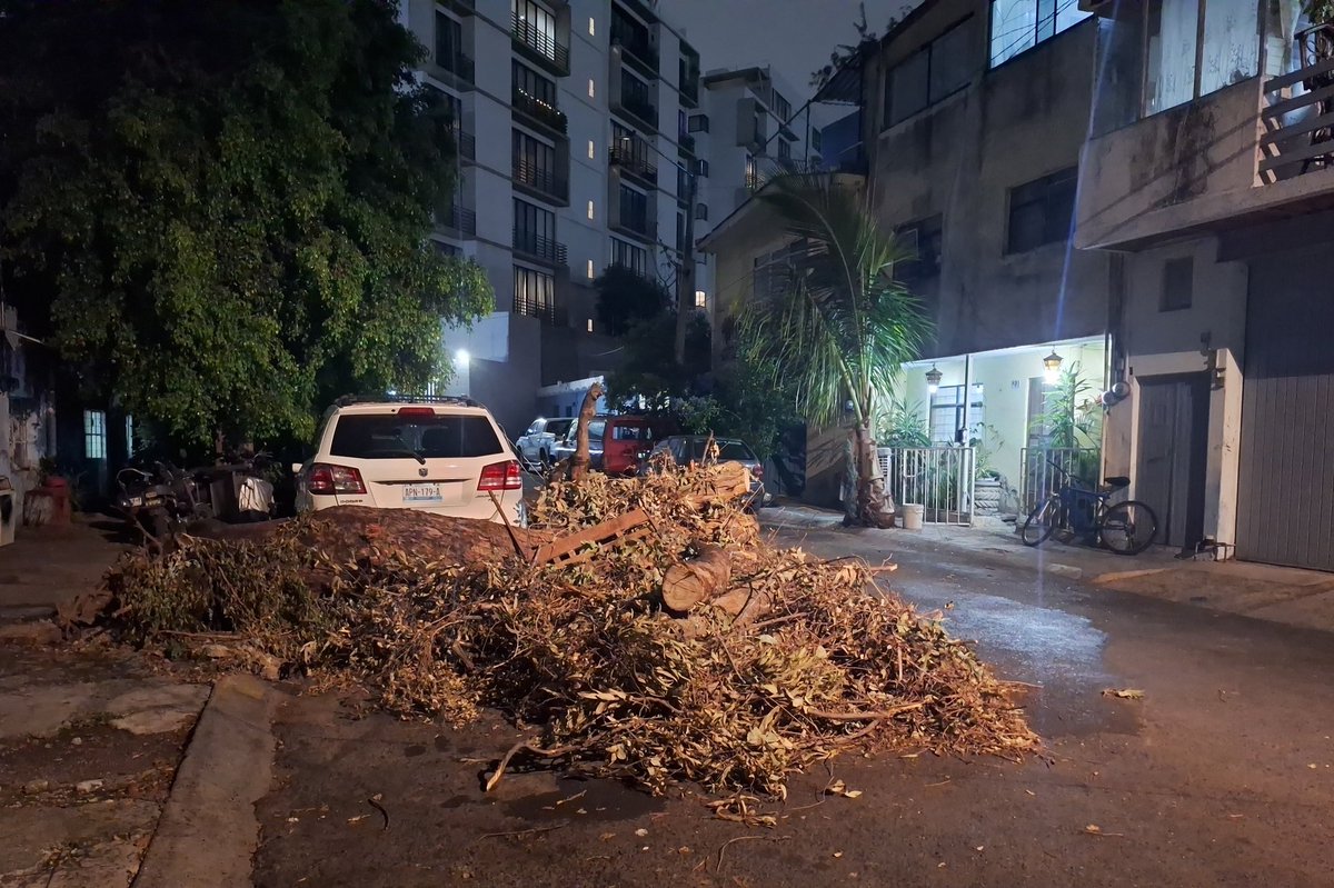 iruzanal's tweet photo. @ServiciosZap @Trafico_ZMG el árbol que se cayó  el pasado lunes  no ha sido retirado por completo https://t.co/zj4Lmfbfz0