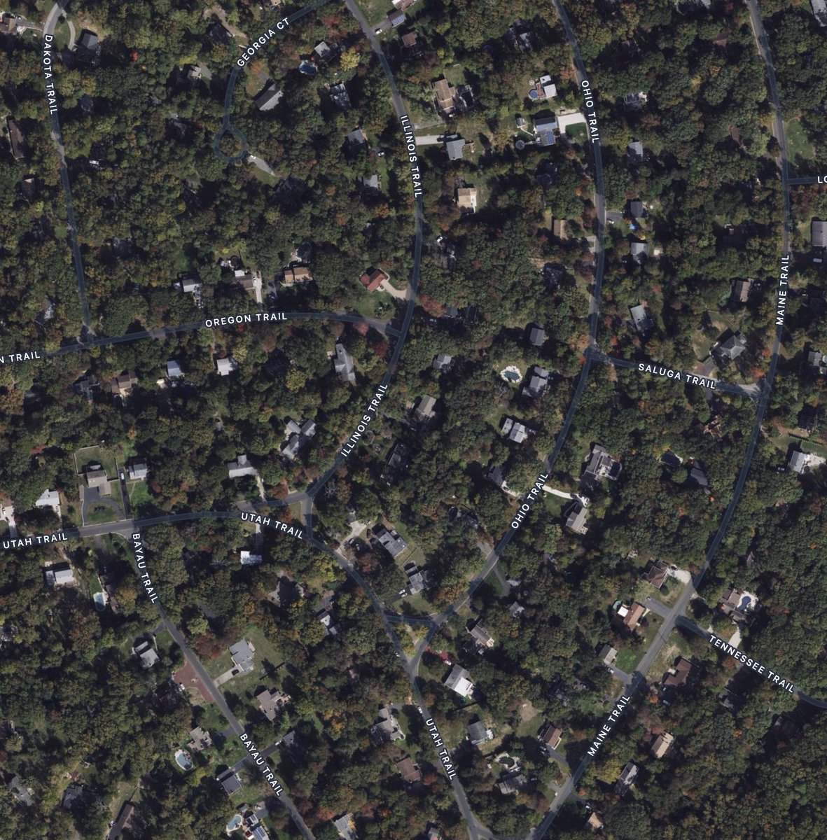 Phil BuildTheFutureNow 🇺🇸🦅🌲💙 tweet media