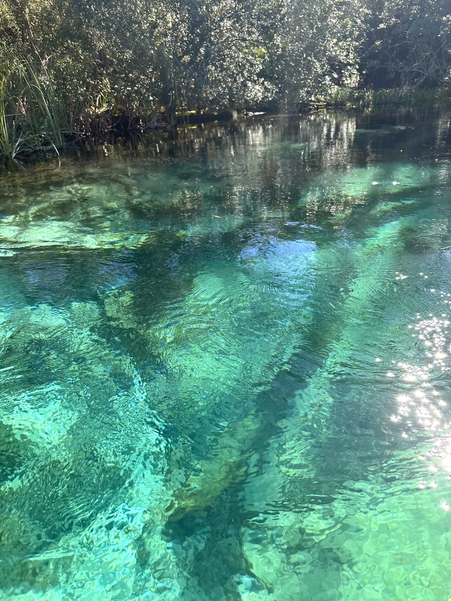 Eileen8Fadi's tweet photo. Would you like to swim in this turquoise water😊 https://t.co/yQsHV8FOfM