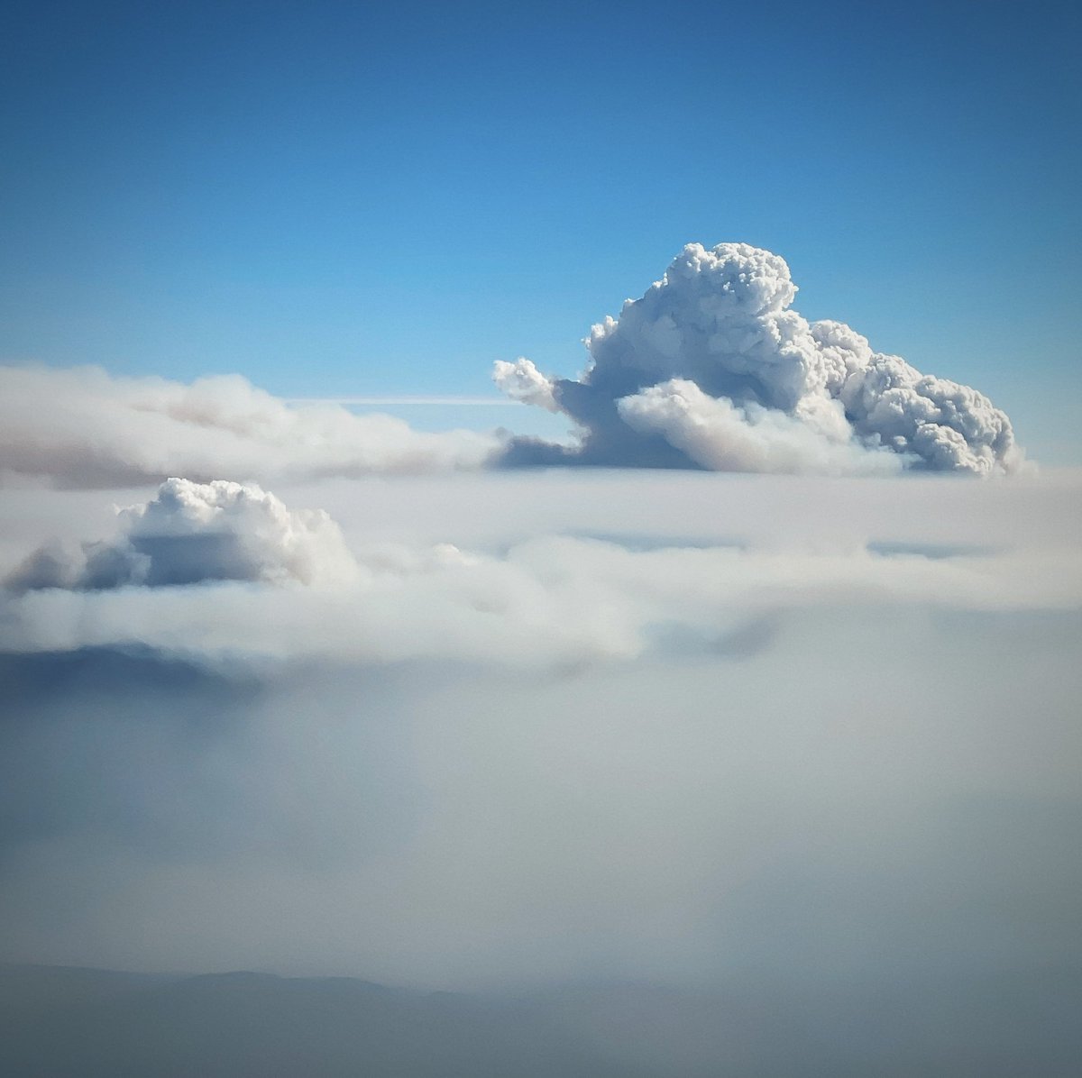 Dan Ming tweet media