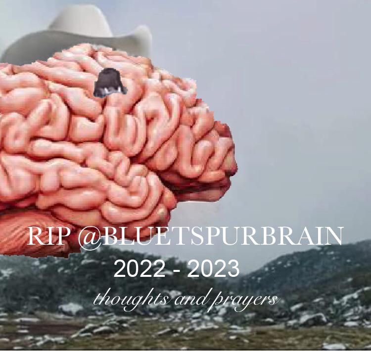 bluetspurbrain's tweet photo. https://t.co/FmmNMv1Ffu