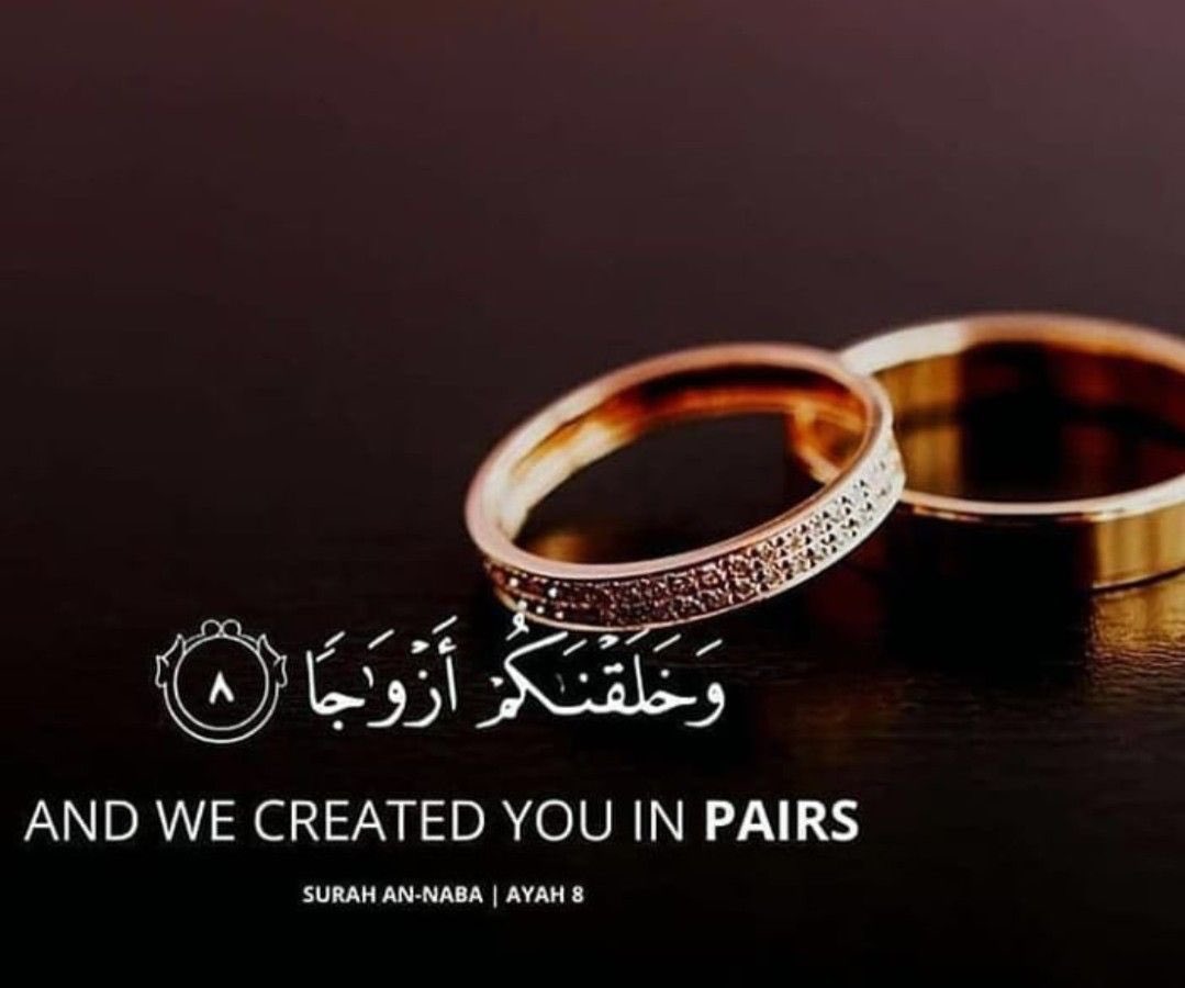 [MARRIAGE &amp; ADVICE—THREAD] 

Ibn Bāz [رحمه الله] said:

❝It is obligatory upon men to hasten to get married if they can afford it.❞ 

Fatwas Of Ibn Bāz, (30/330, Part No. 30) |