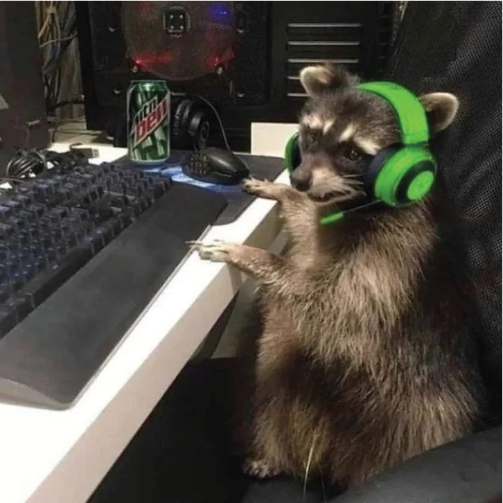 rabit21259947's tweet photo. Caption this 😂😂 https://t.co/94xMMrHN60