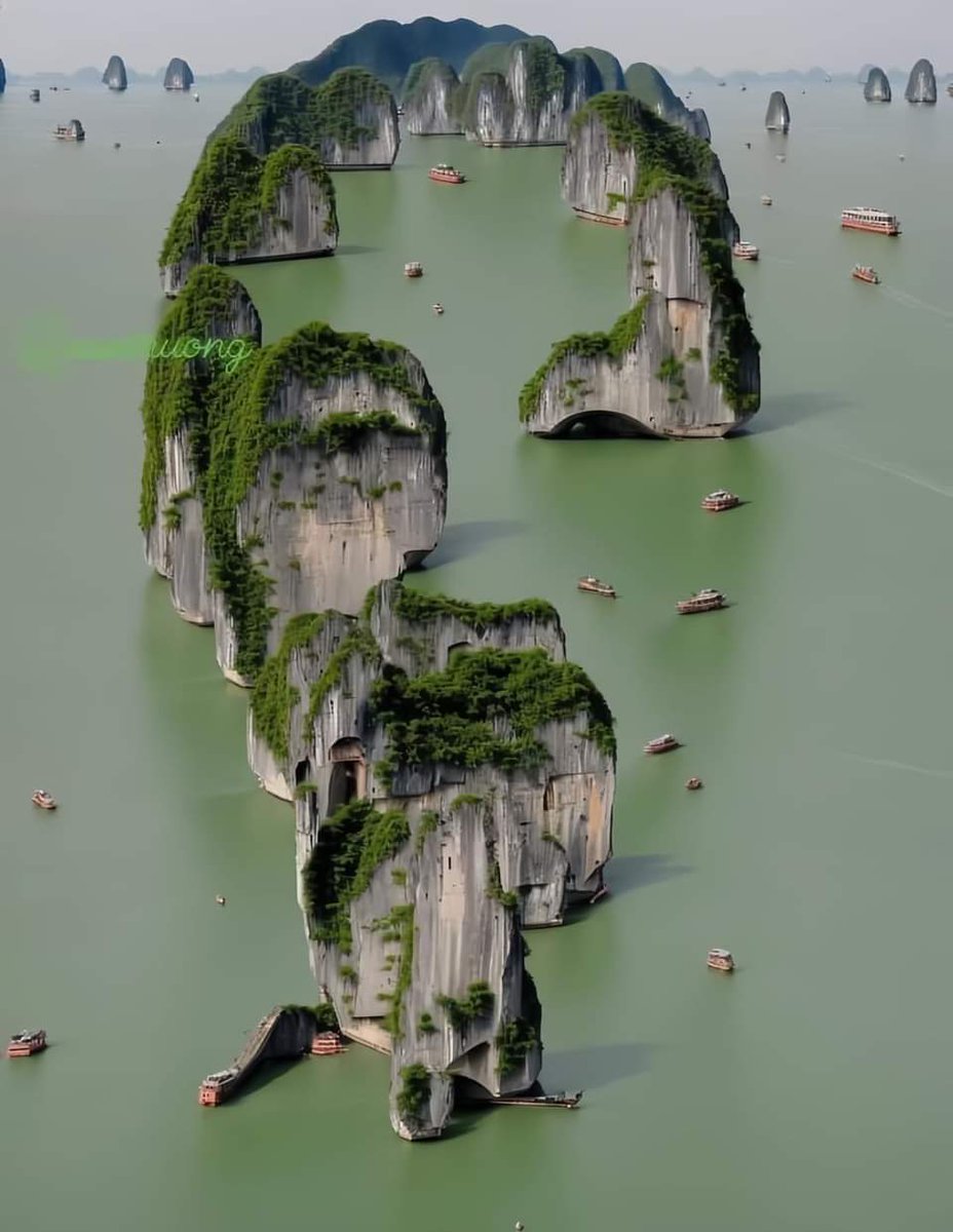 thehc79's tweet photo. Nice Picture 😍
#VietNamBeauty
#FollowBack #Follow #Cheo #X #TEMPEST https://t.co/MLyTgRgQtm
