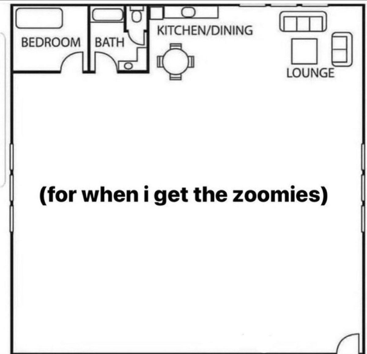 The Notorious J.O.V. (@whotfisjovana) on Twitter photo 