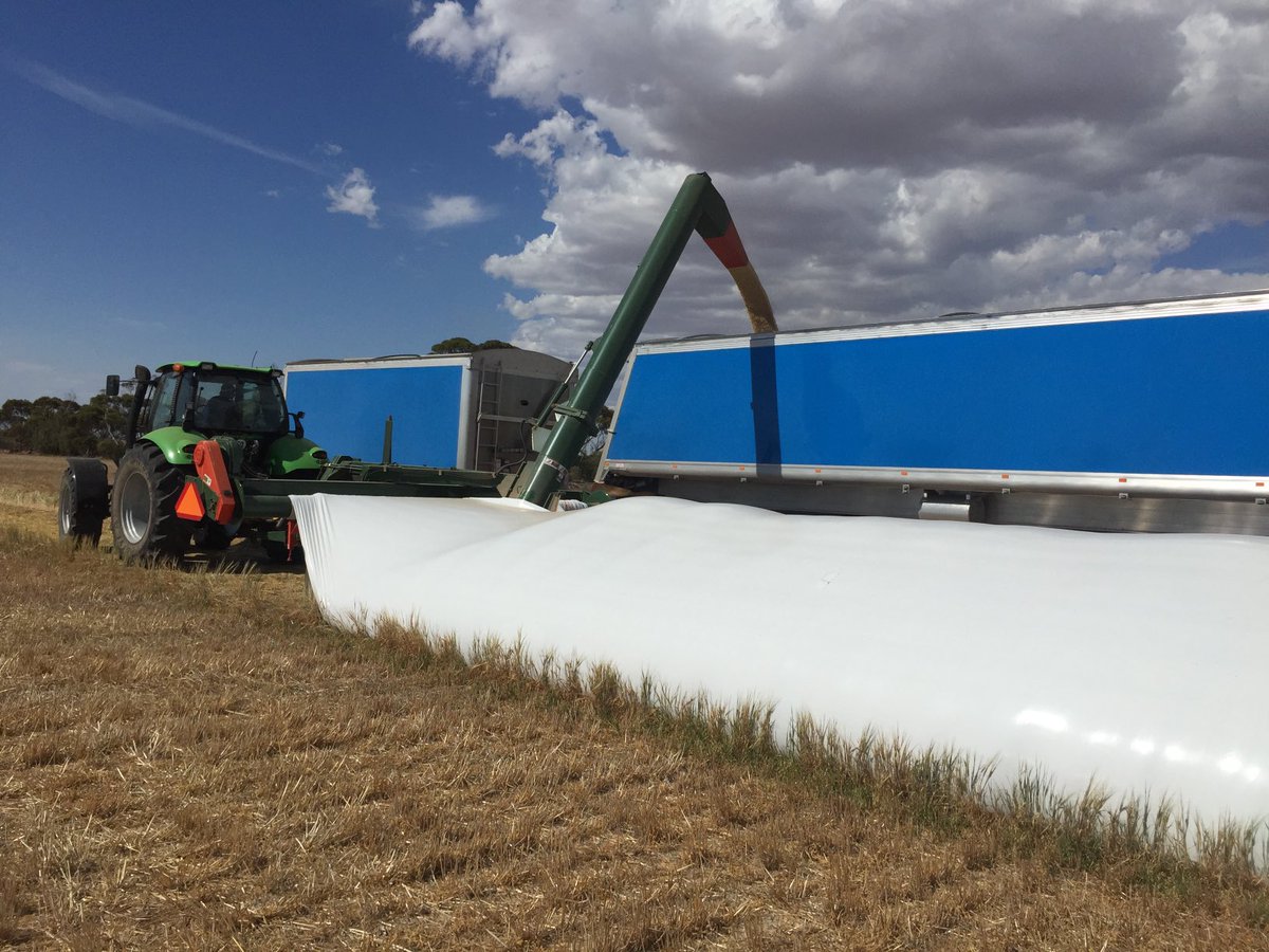 David Correll tweet media