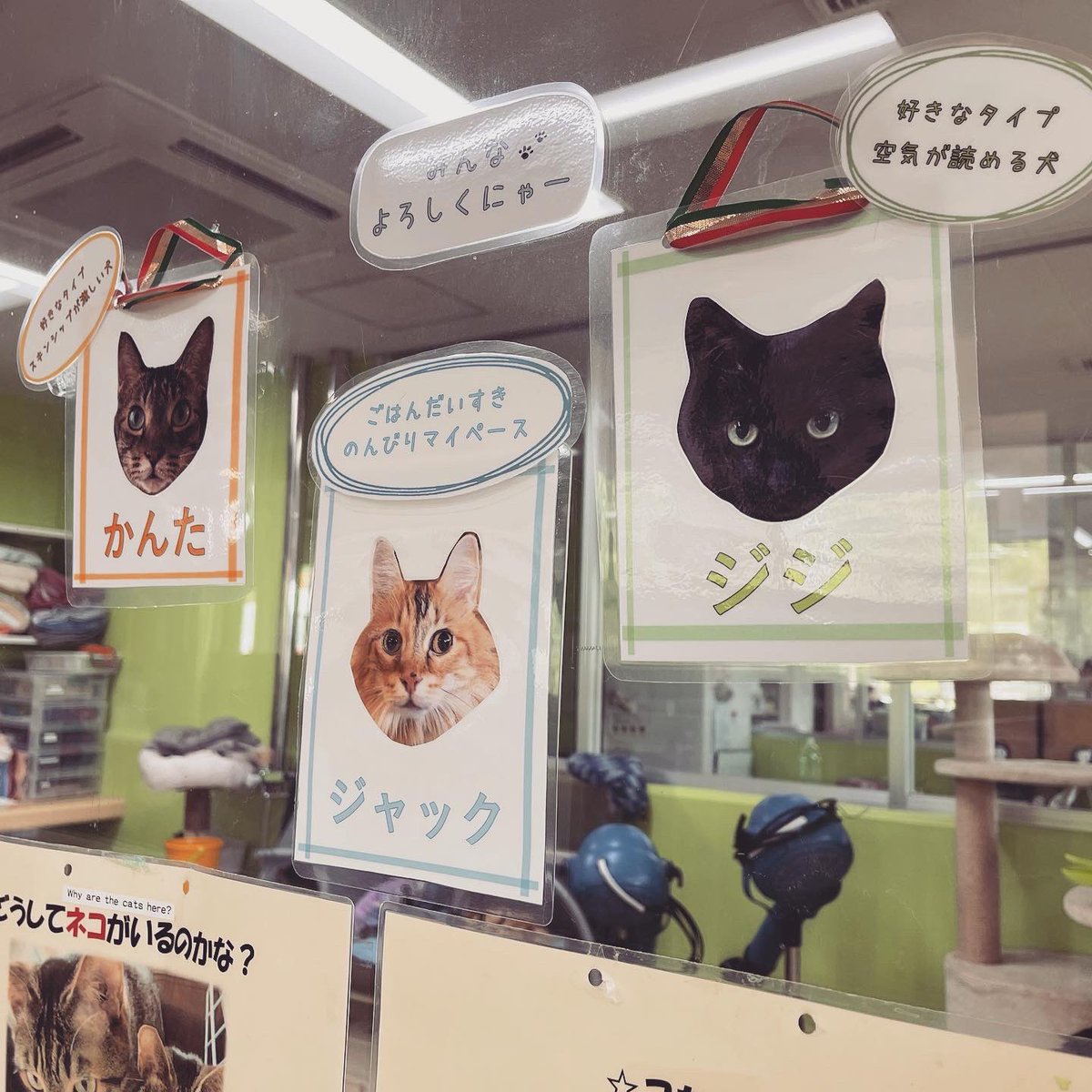 昨日は今年の名古屋デザイナー学院の介助犬ブースを担当する学生さんたちと長久手市にある介助犬訓練施設シンシアの丘の見学会に行ってきました！

#名古屋デザイナー学院漫画学科 
#日本介助犬協会
#介助犬