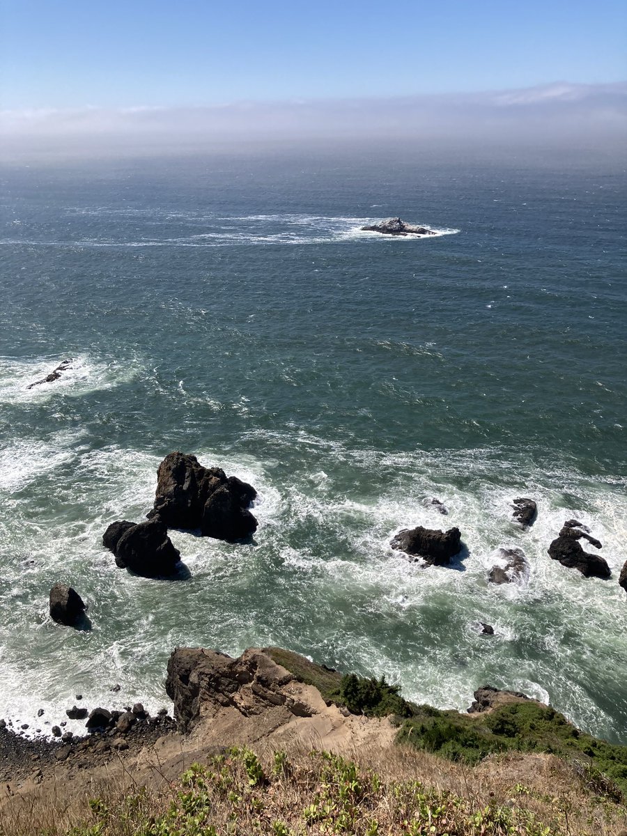 I’ve got a couple radio specials broadcasting today: Incredible Funk and Soul and Gossamer Windpipe.
10 pm to midnight Pacific Time Saturday 8/19 on <a href="/KBOO/">KBOO 📻</a>  at KBOO.FM and 90.7 FM in Portland.